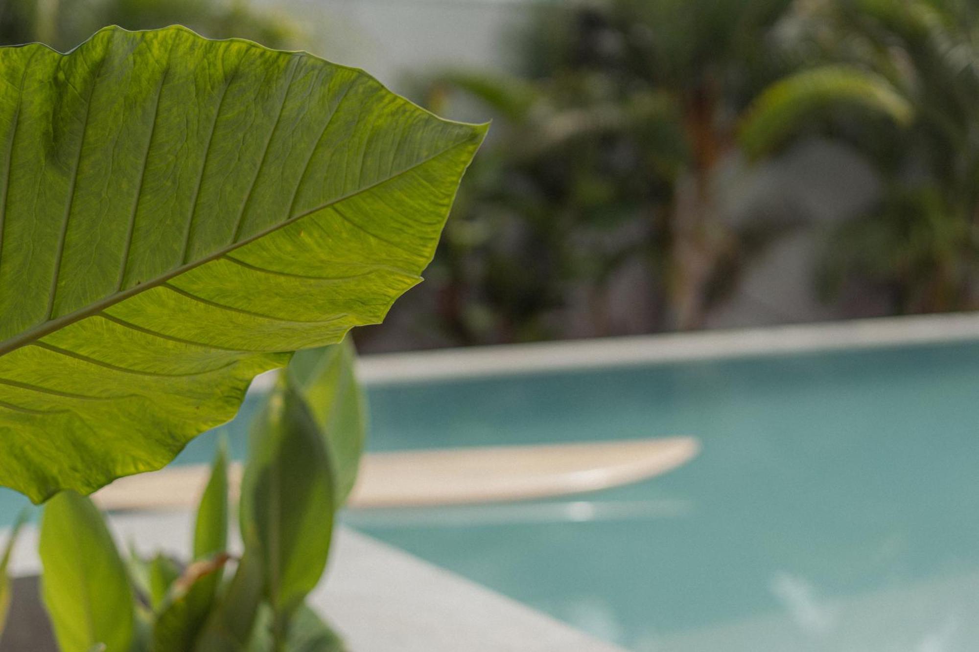 Global Surf Kabalana Hostel